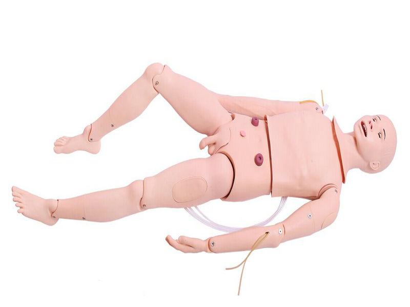 高級成人鼻腔吸痰及護(hù)理模型