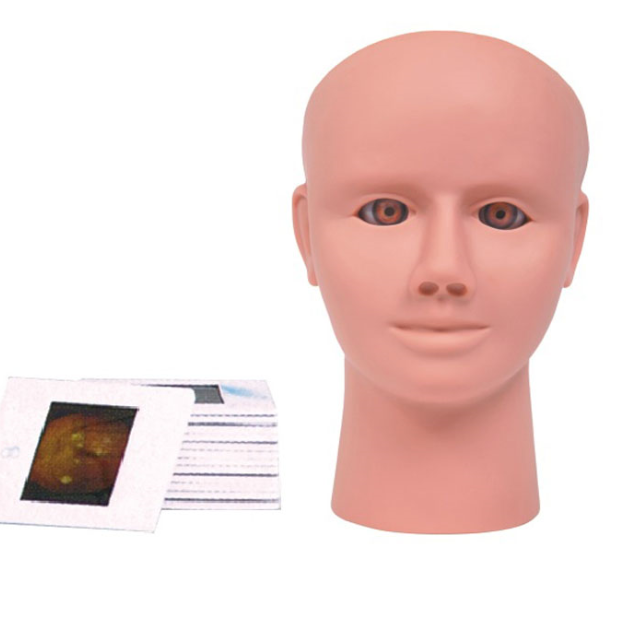 高級眼內(nèi)視網(wǎng)膜病變檢查模型
