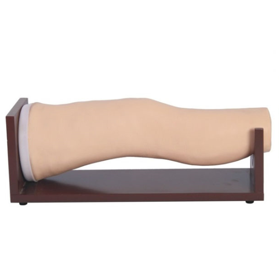 電子膝關(guān)節(jié)腔內(nèi)注射模型