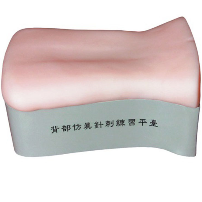 背部仿真針刺練習(xí)平臺YR/ZC-B