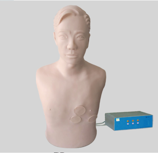 肝膿腫穿刺與胸腔穿刺電子標(biāo)準(zhǔn)化病人電動(dòng)模型