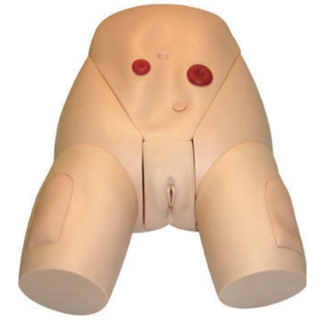 高級(jí)女性導(dǎo)尿模型YR-H70/3
