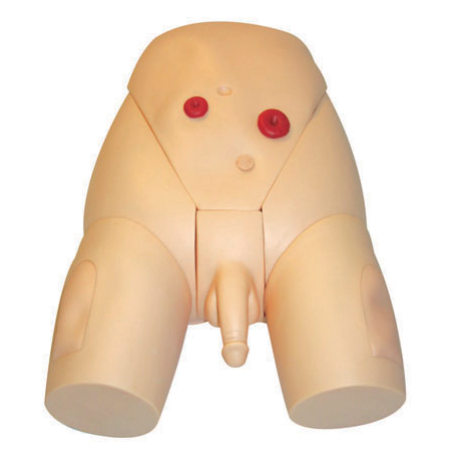 高級(jí)男性導(dǎo)尿模型YR-H70/2
