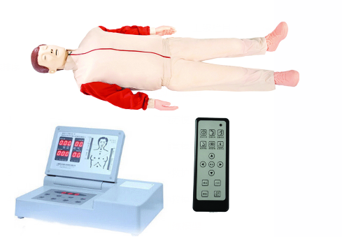 高級全自動電腦心肺復(fù)蘇模擬人