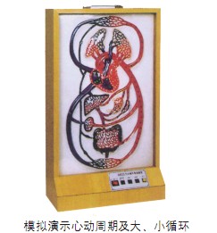 大、小循環(huán)電動模型